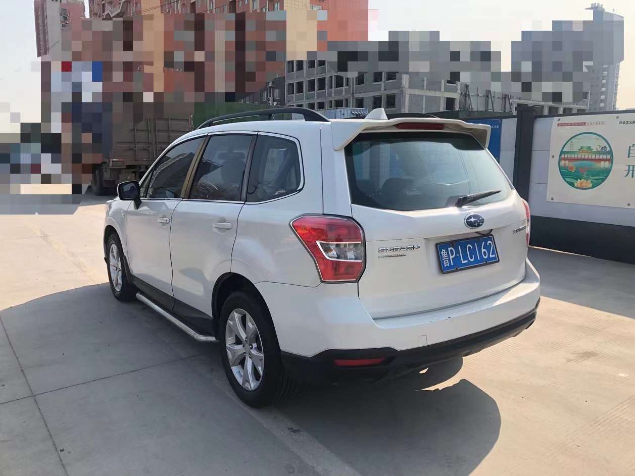 森林人 图3