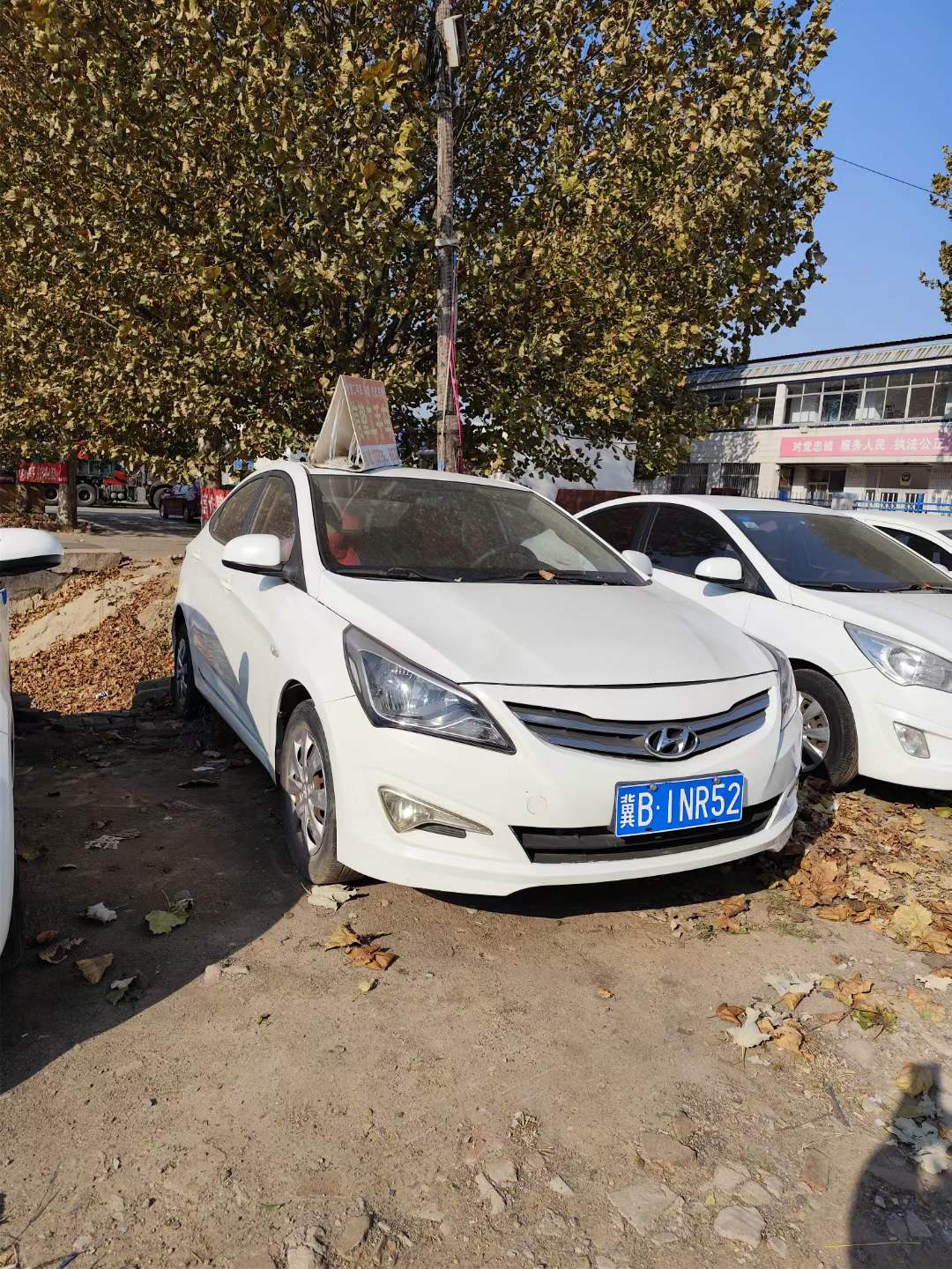 瑞纳 图2