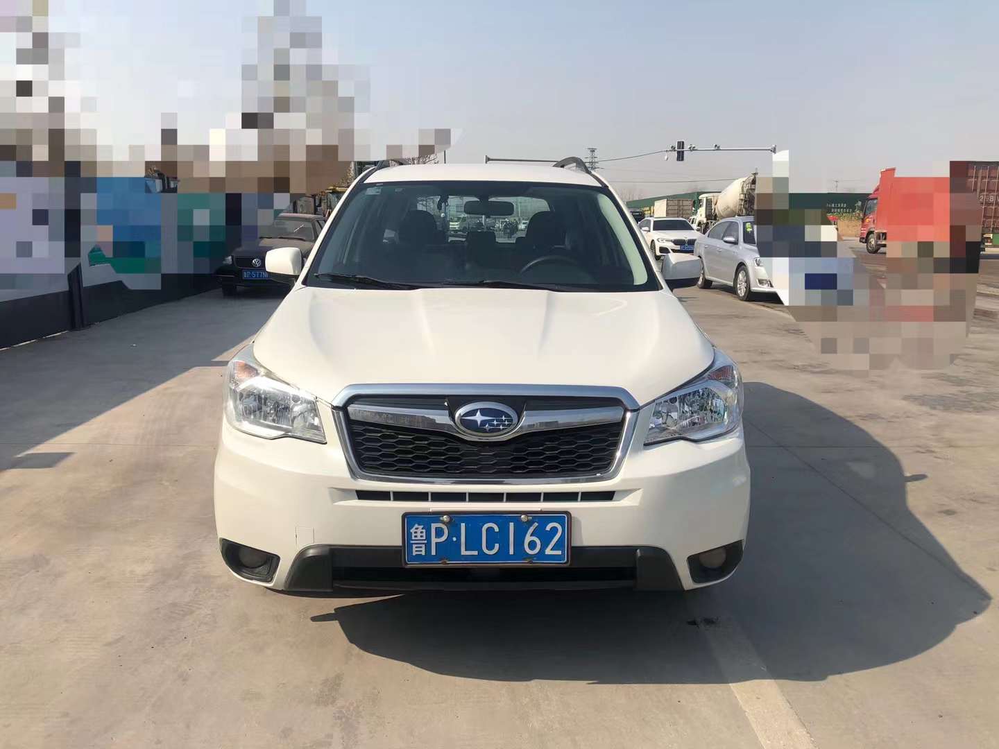 森林人 图6