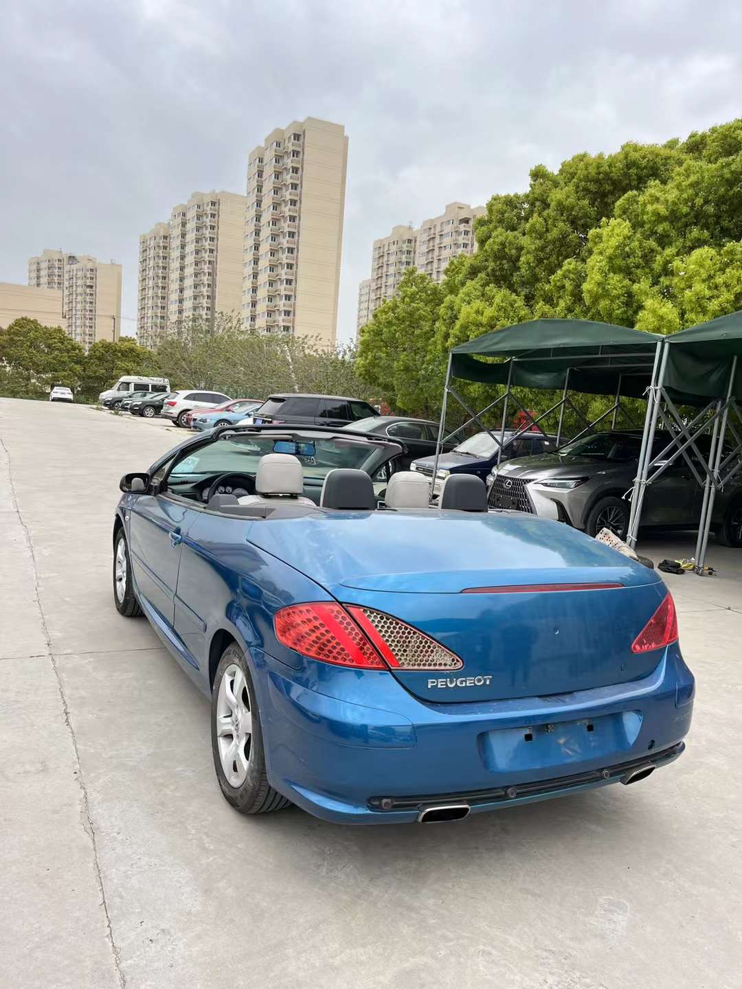 307CC 图3