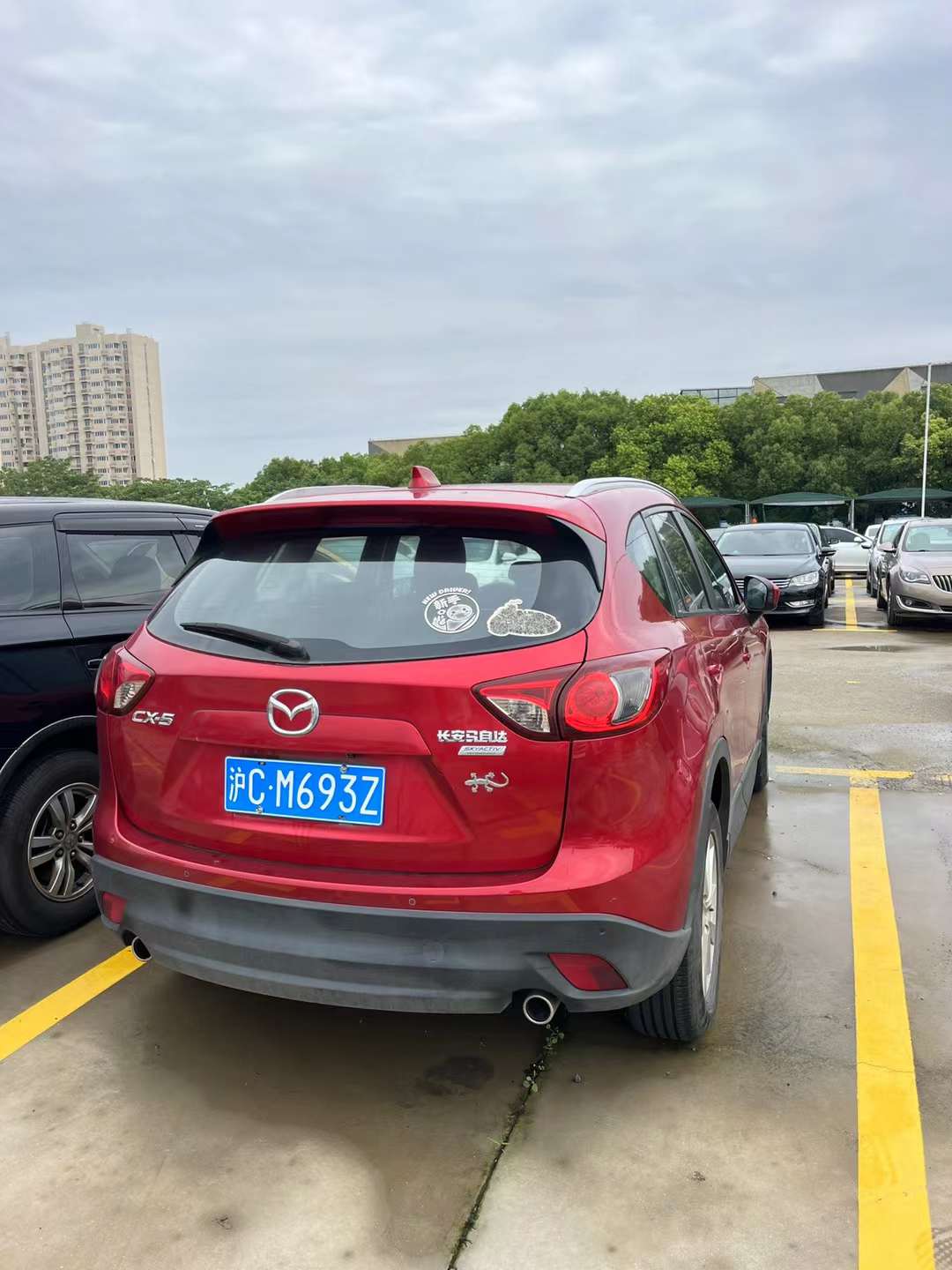 CX-5 图3