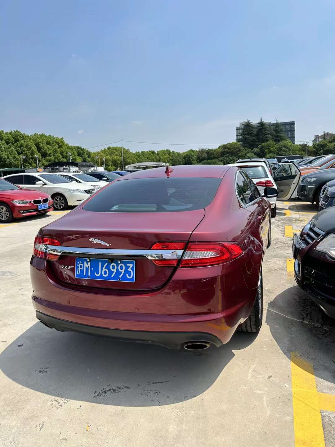 XF 图3