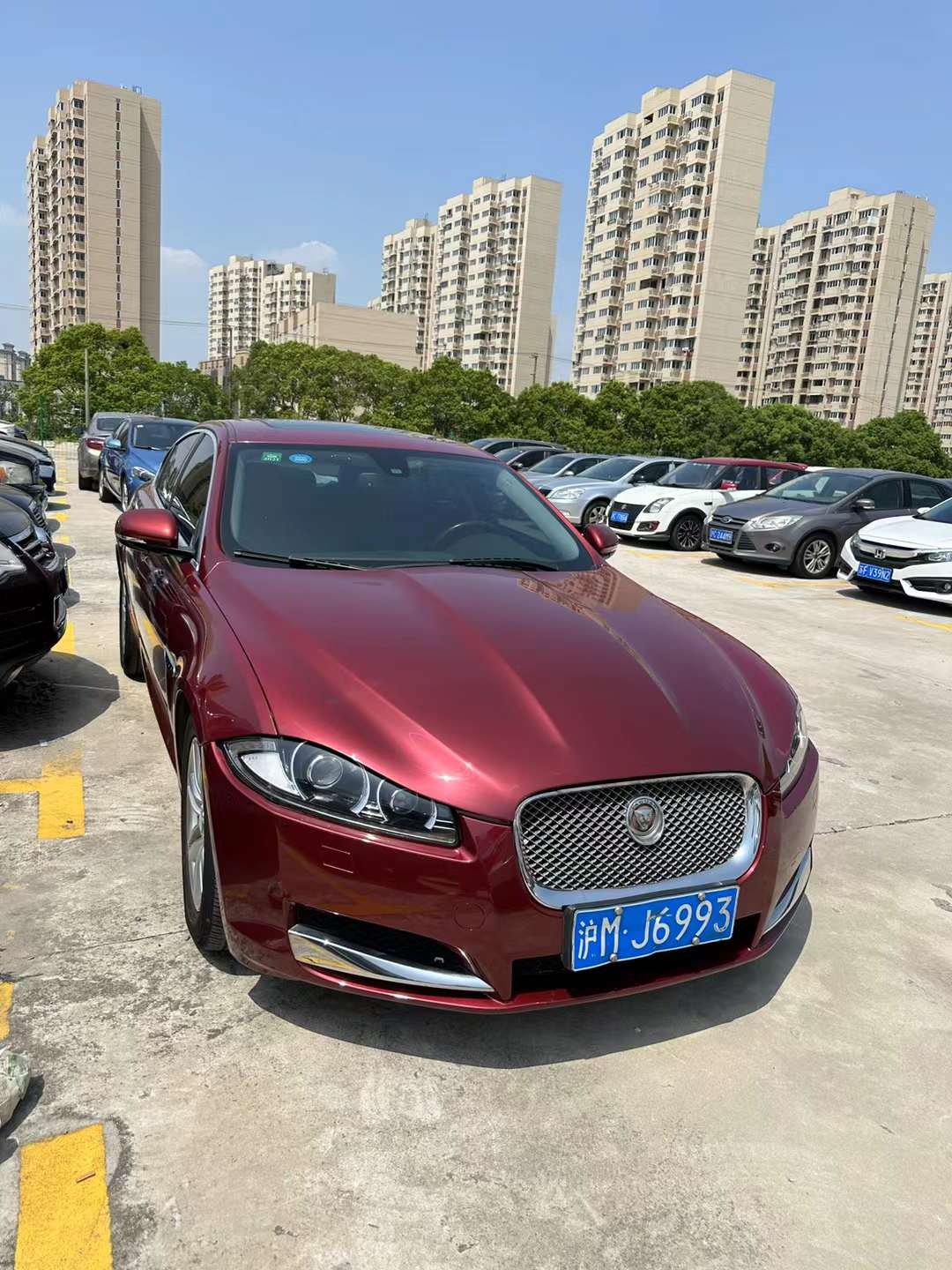 XF 图7